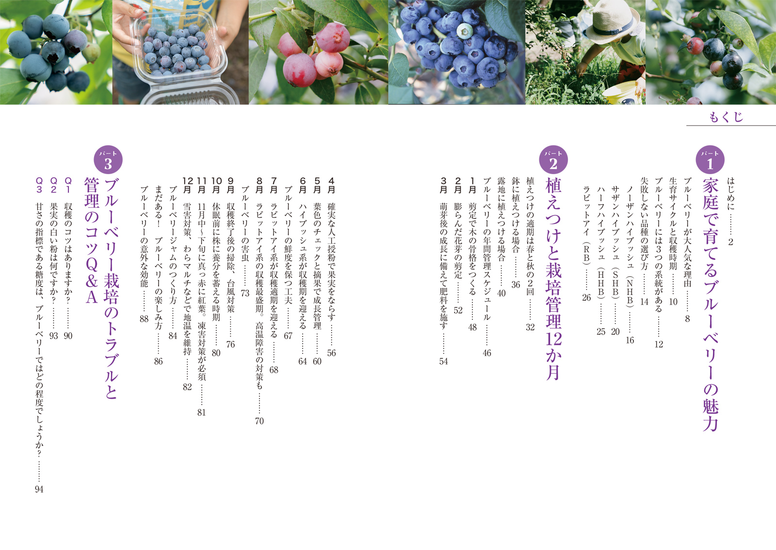 サムネイル画像1