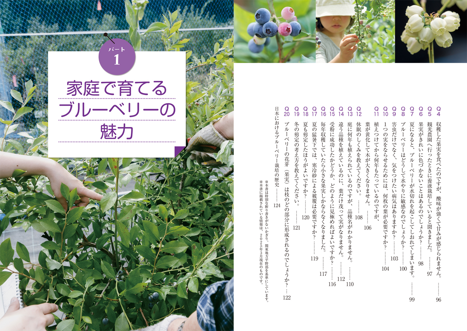 サムネイル画像2