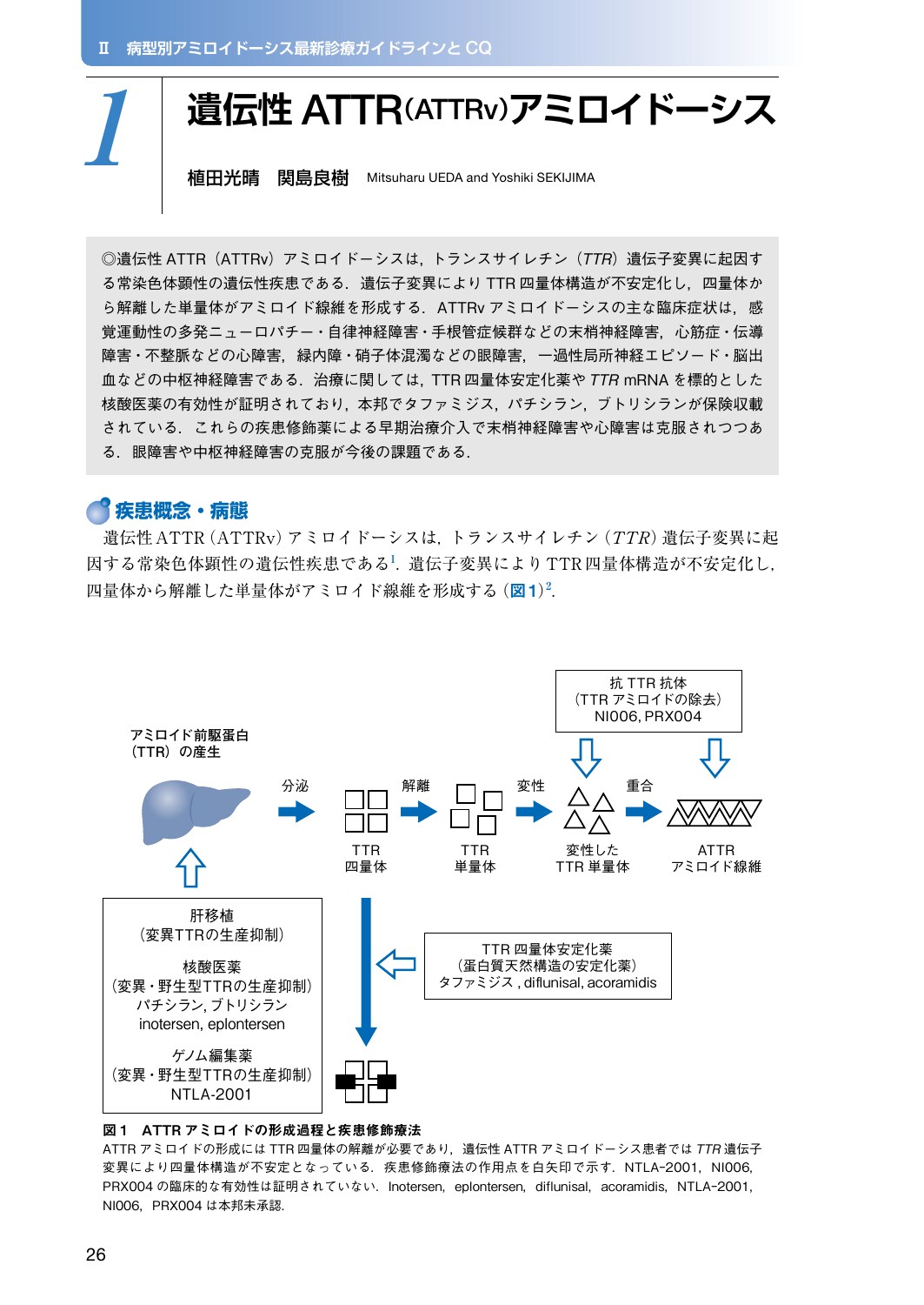 サムネイル画像2