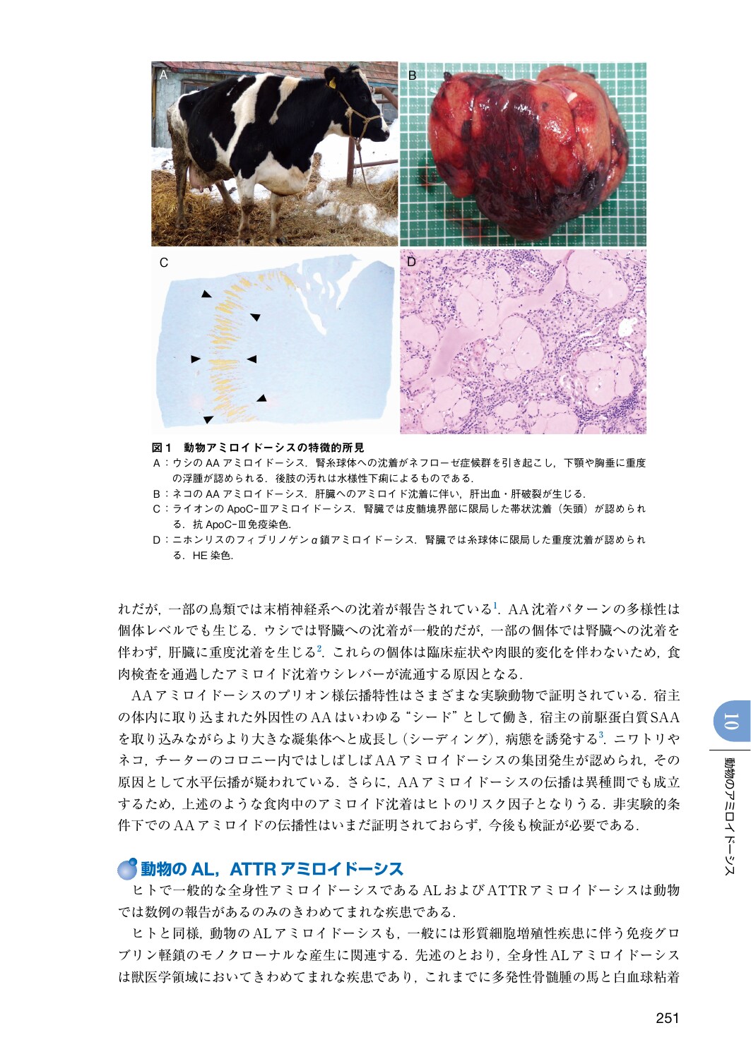 サムネイル画像5