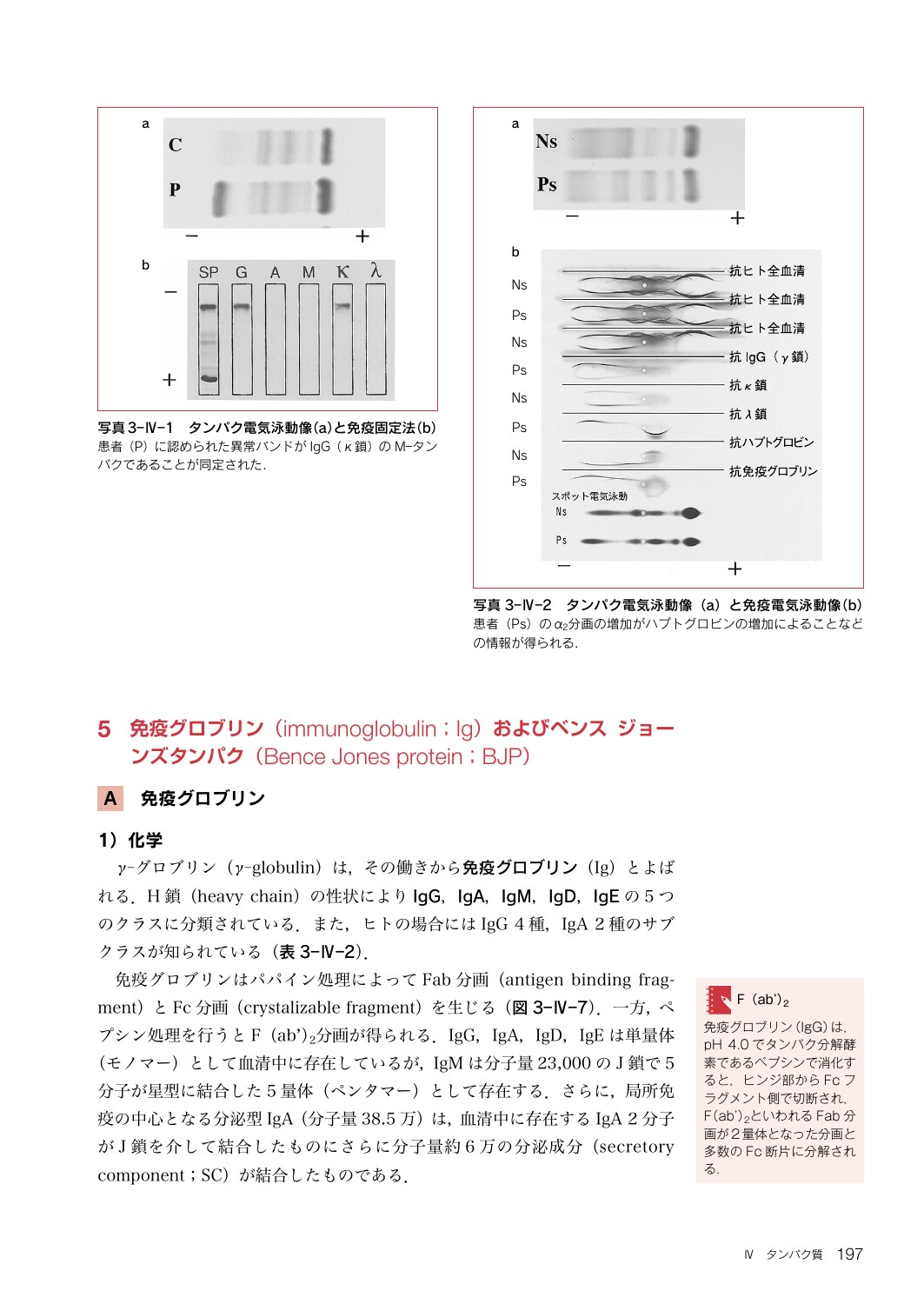 サムネイル画像3