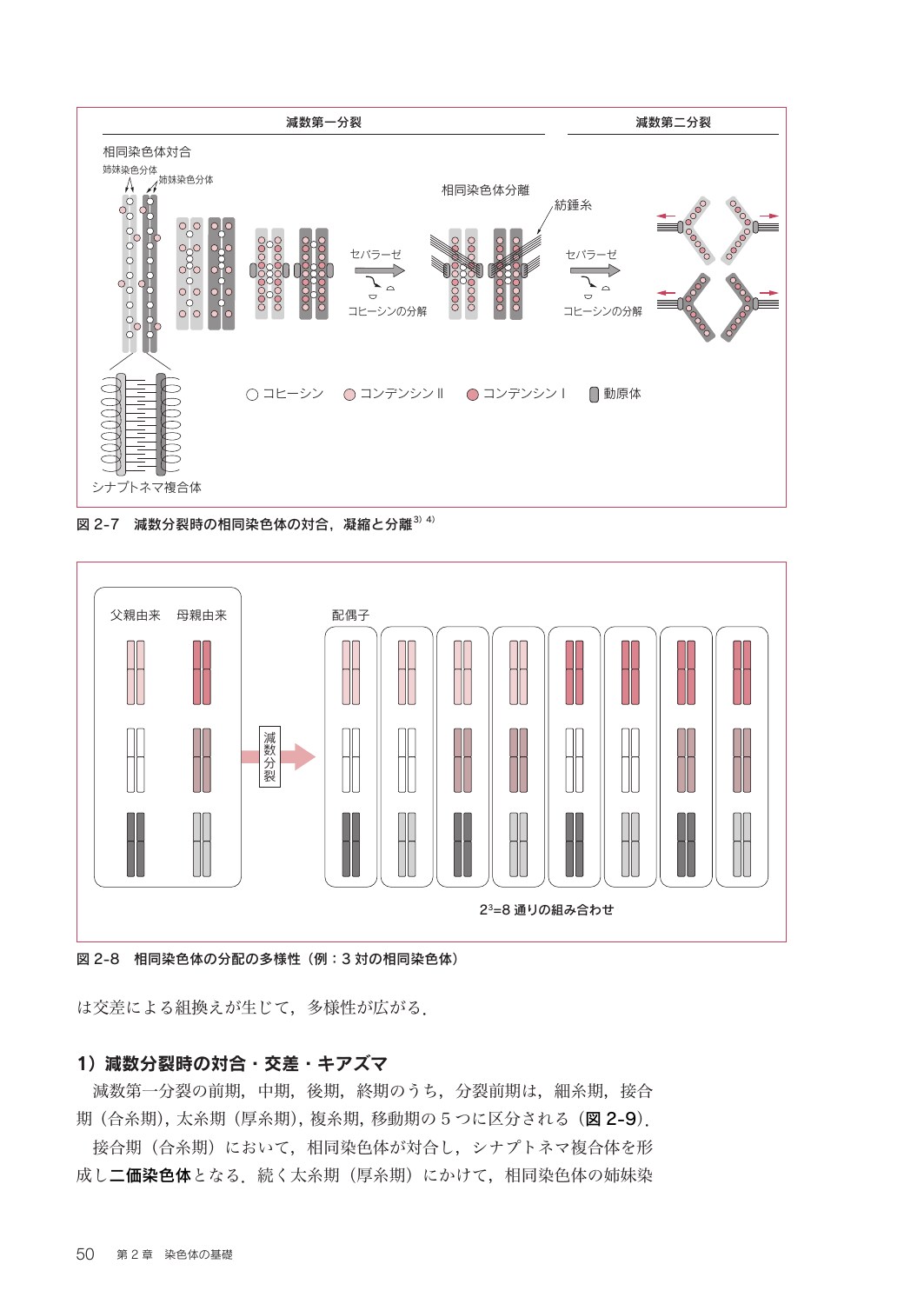 サムネイル画像2