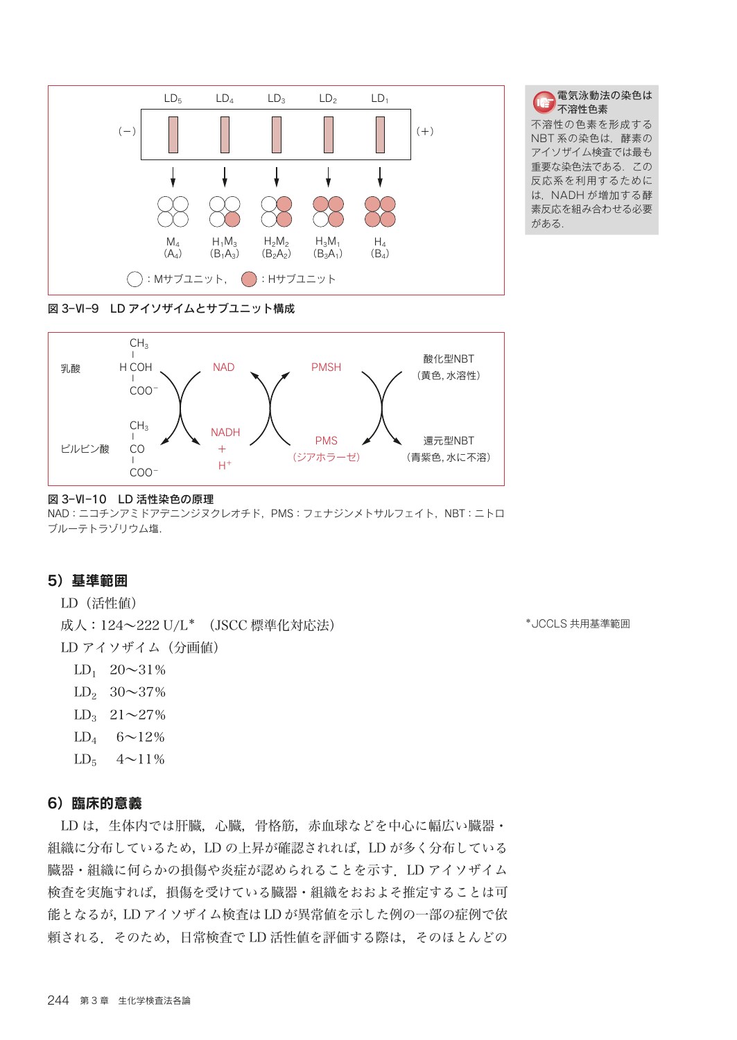 サムネイル画像3