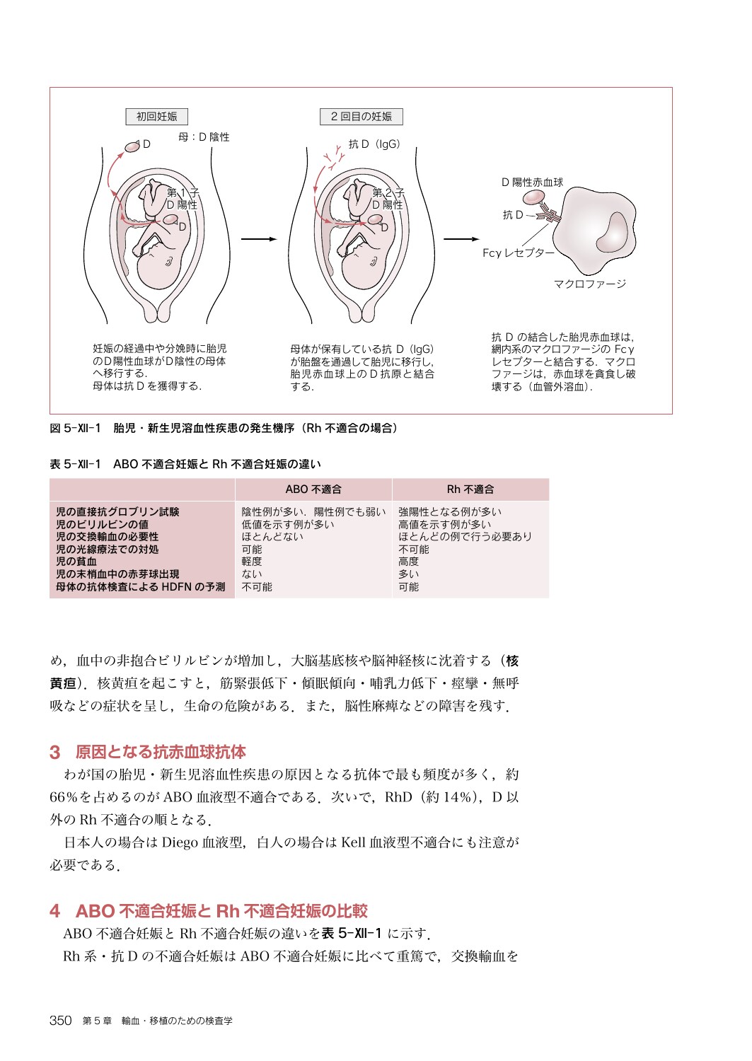 サムネイル画像5