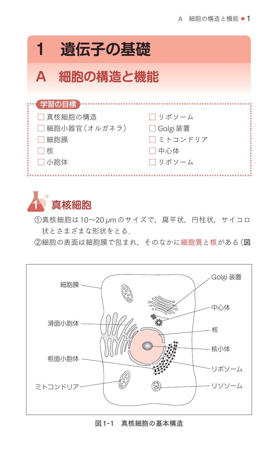 サムネイル画像3