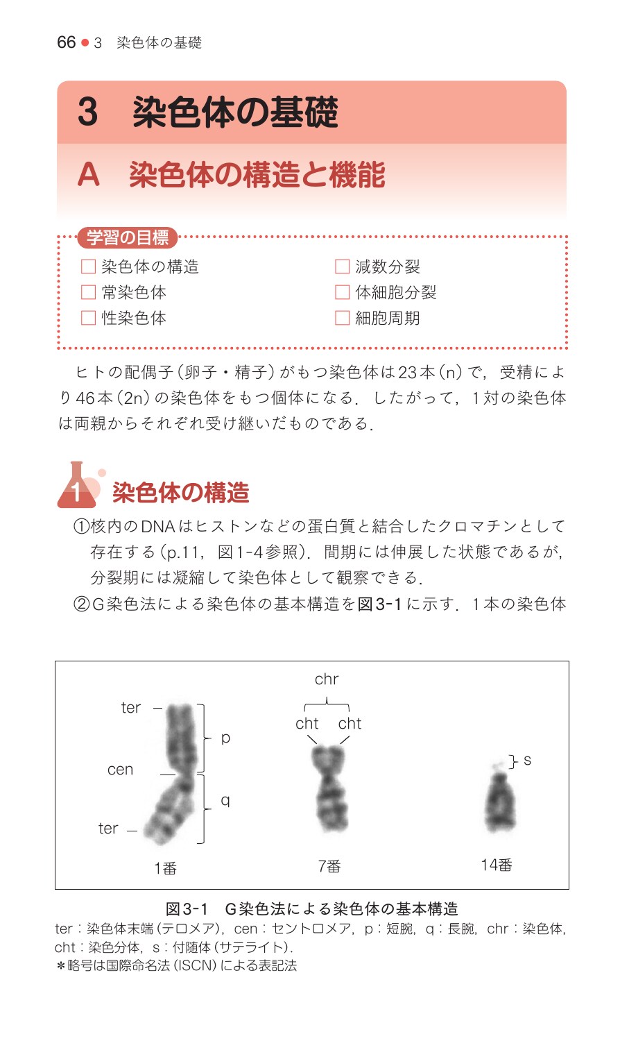 サムネイル画像5