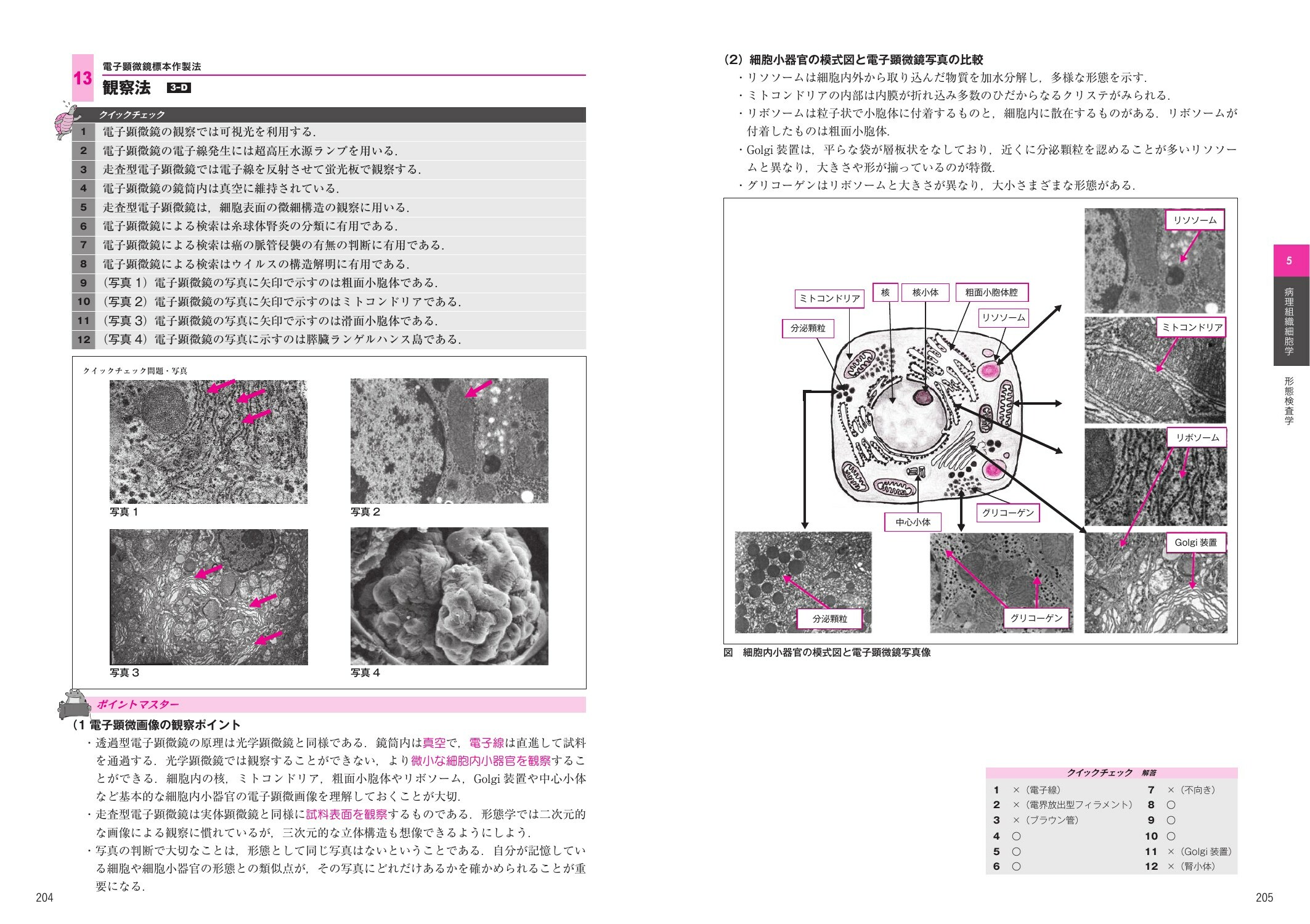 サムネイル画像4