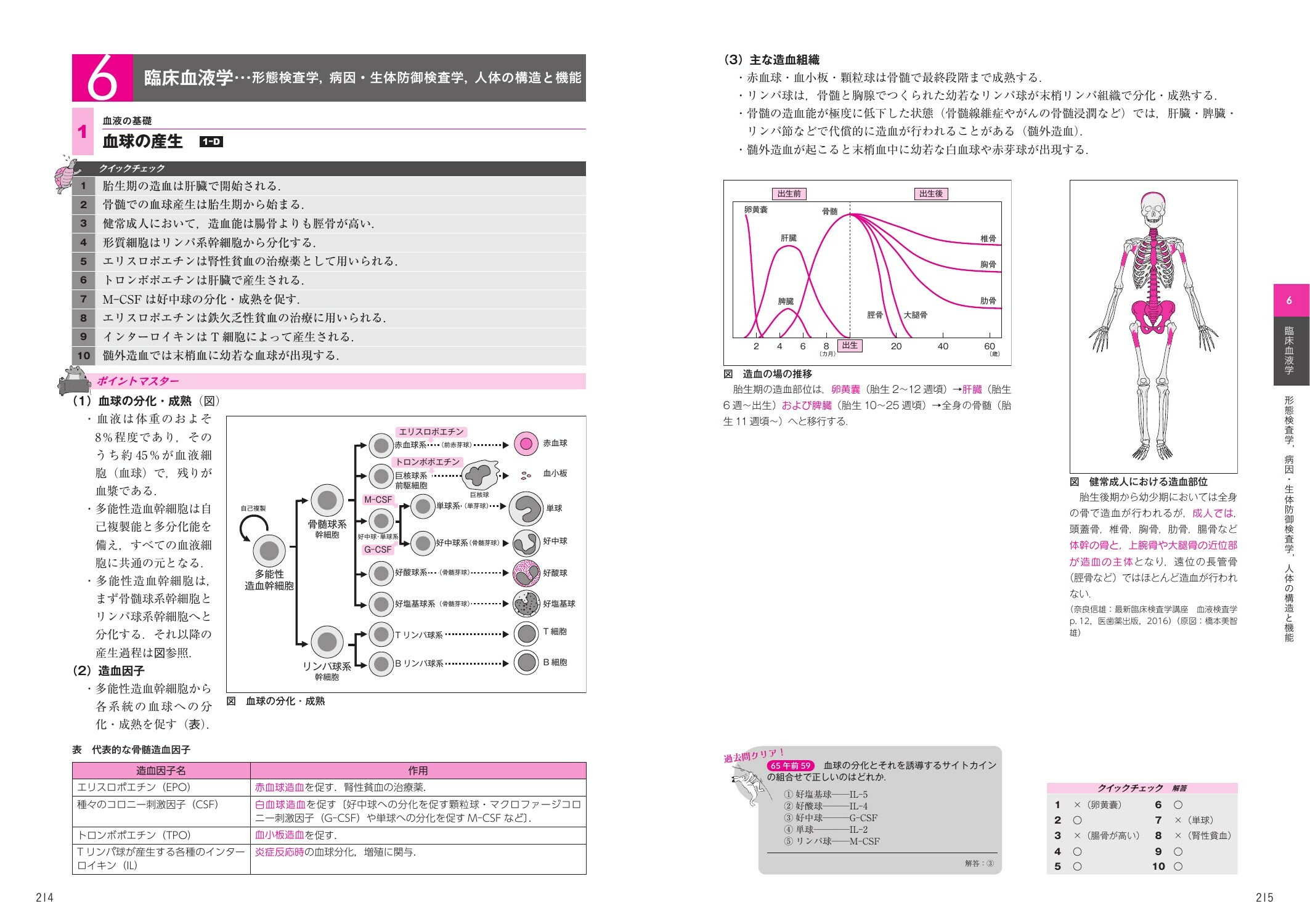サムネイル画像5