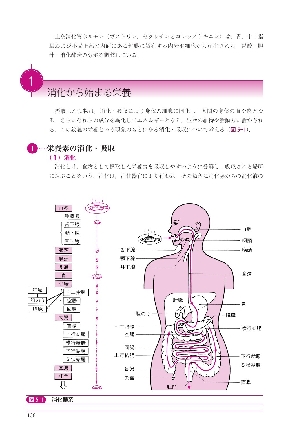 サムネイル画像4