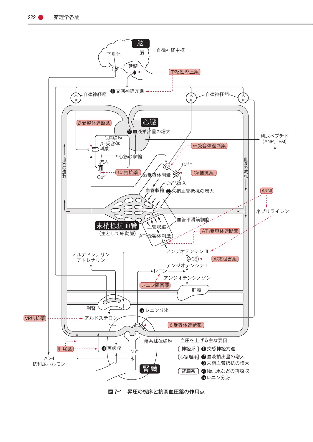 サムネイル画像4