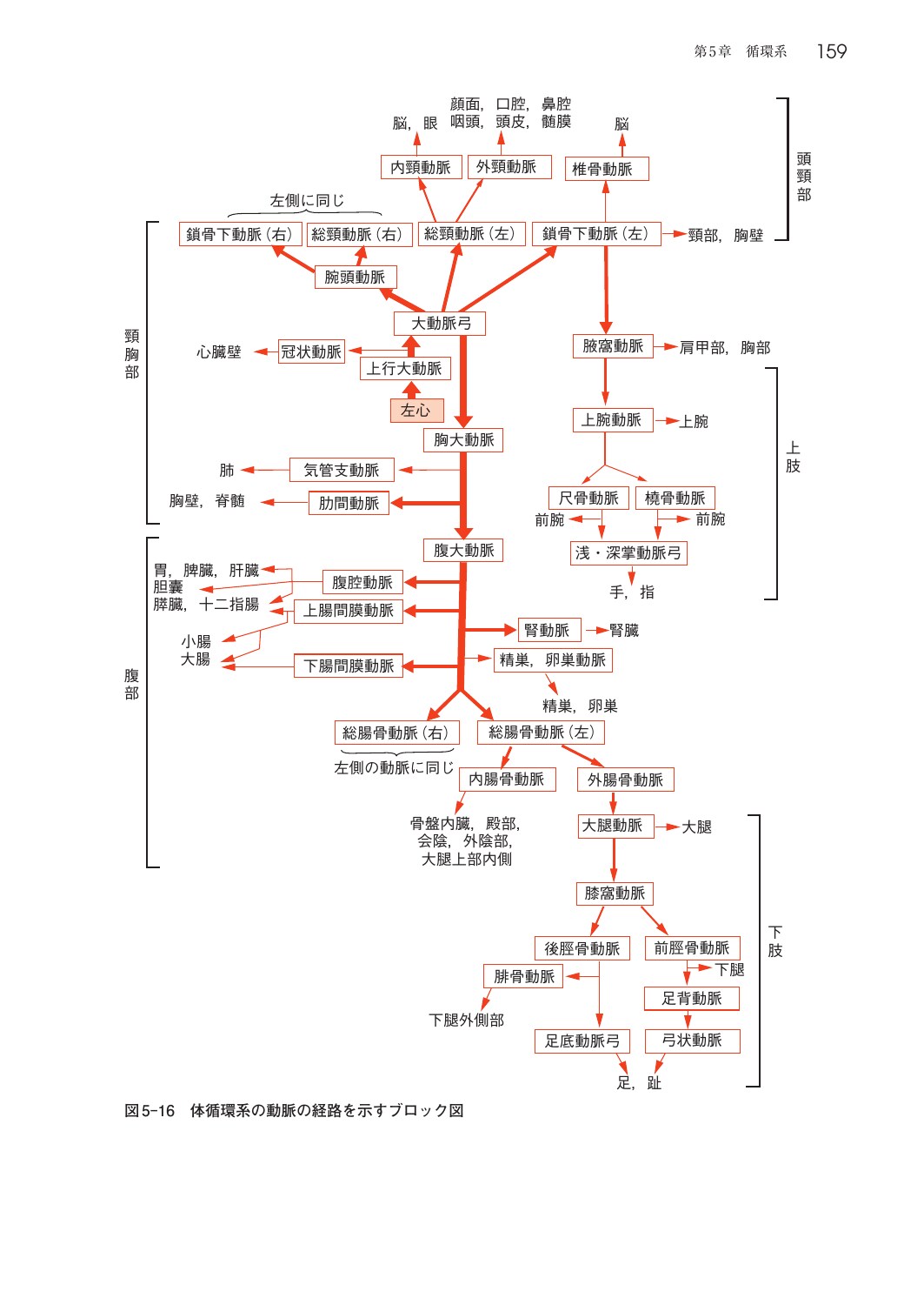 サムネイル画像4