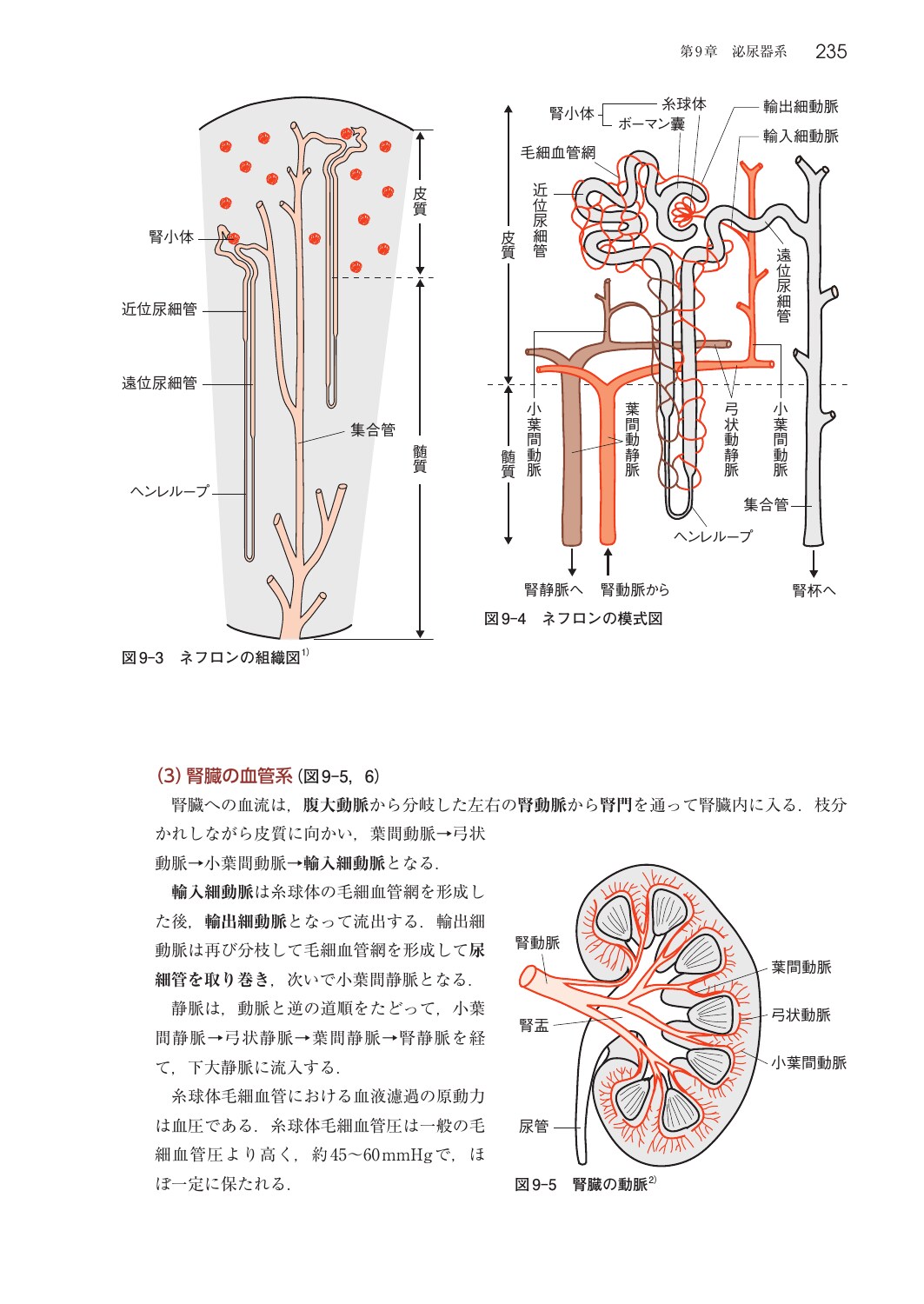 サムネイル画像5