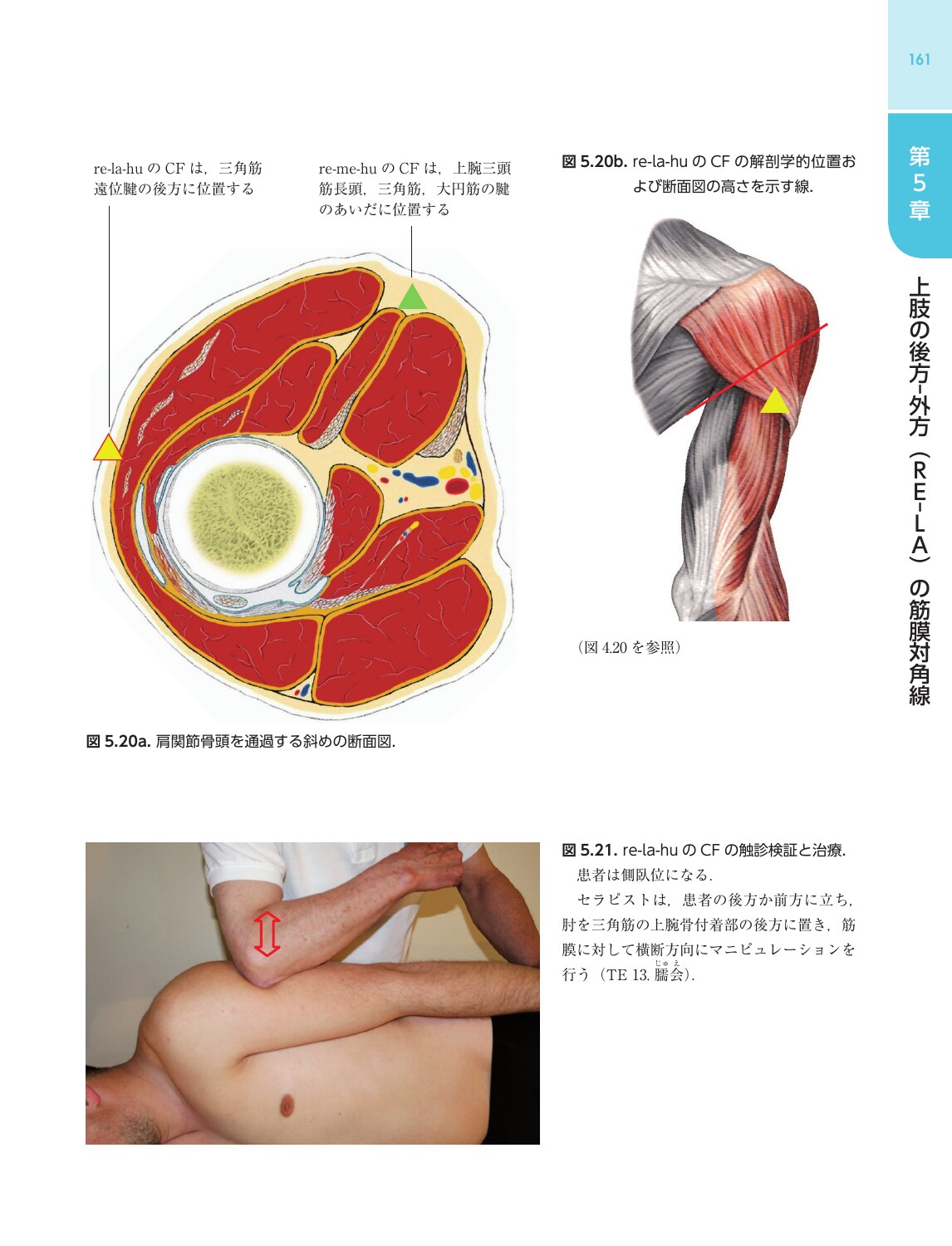 サムネイル画像5