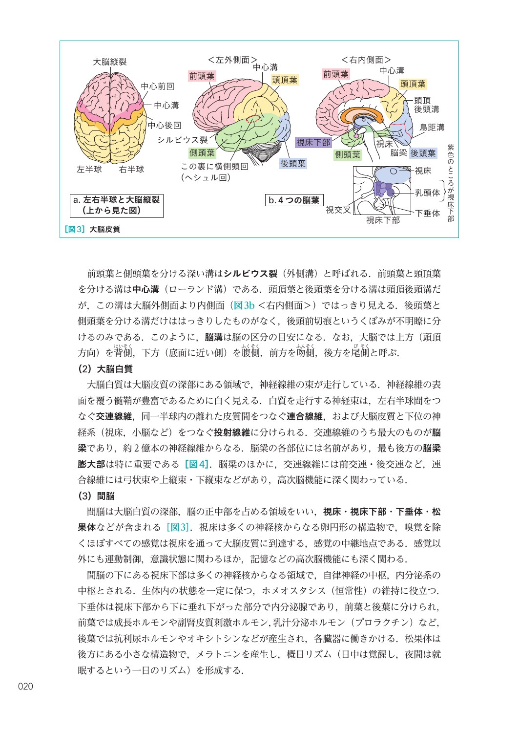 サムネイル画像3