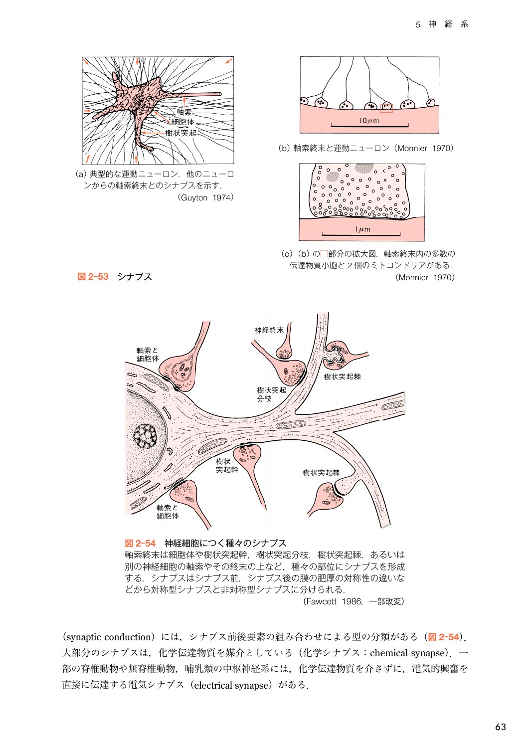 サムネイル画像2