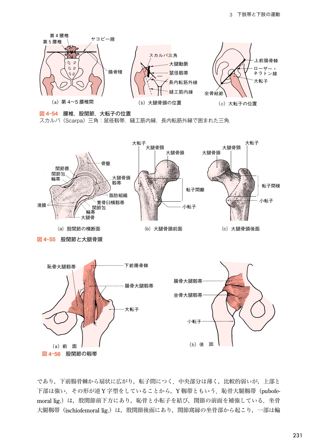 サムネイル画像3