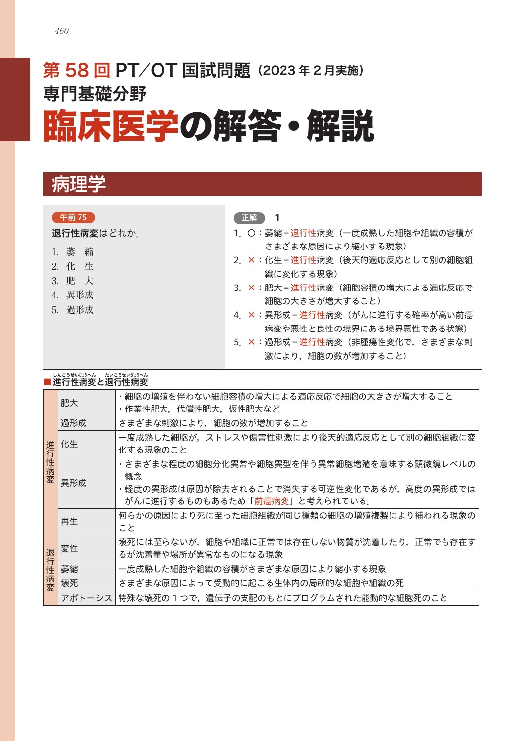 サムネイル画像5