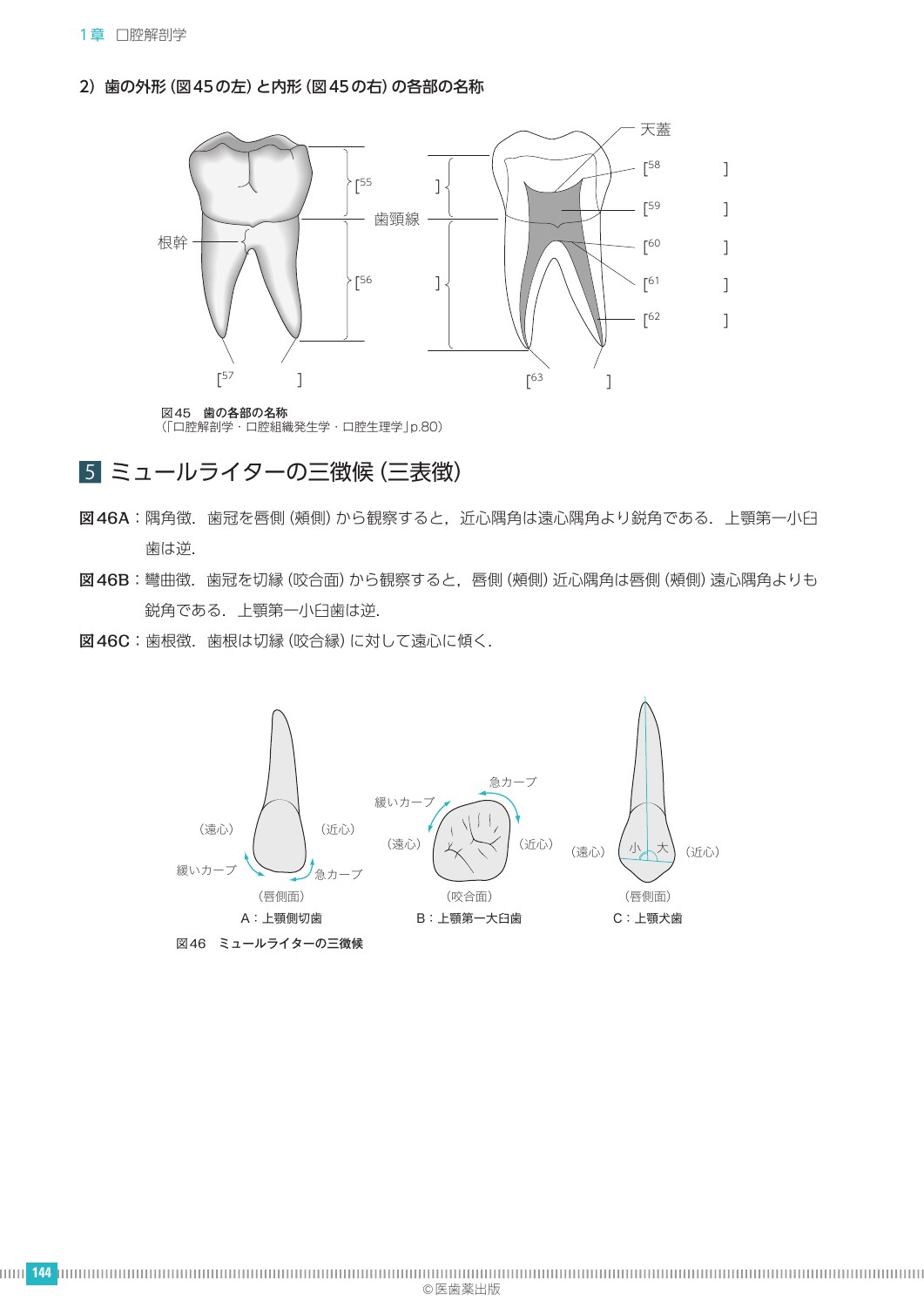 サムネイル画像3