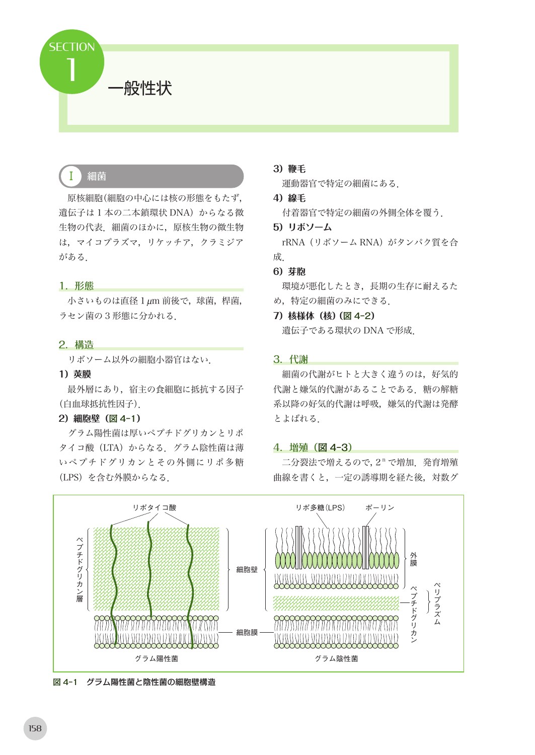 サムネイル画像4