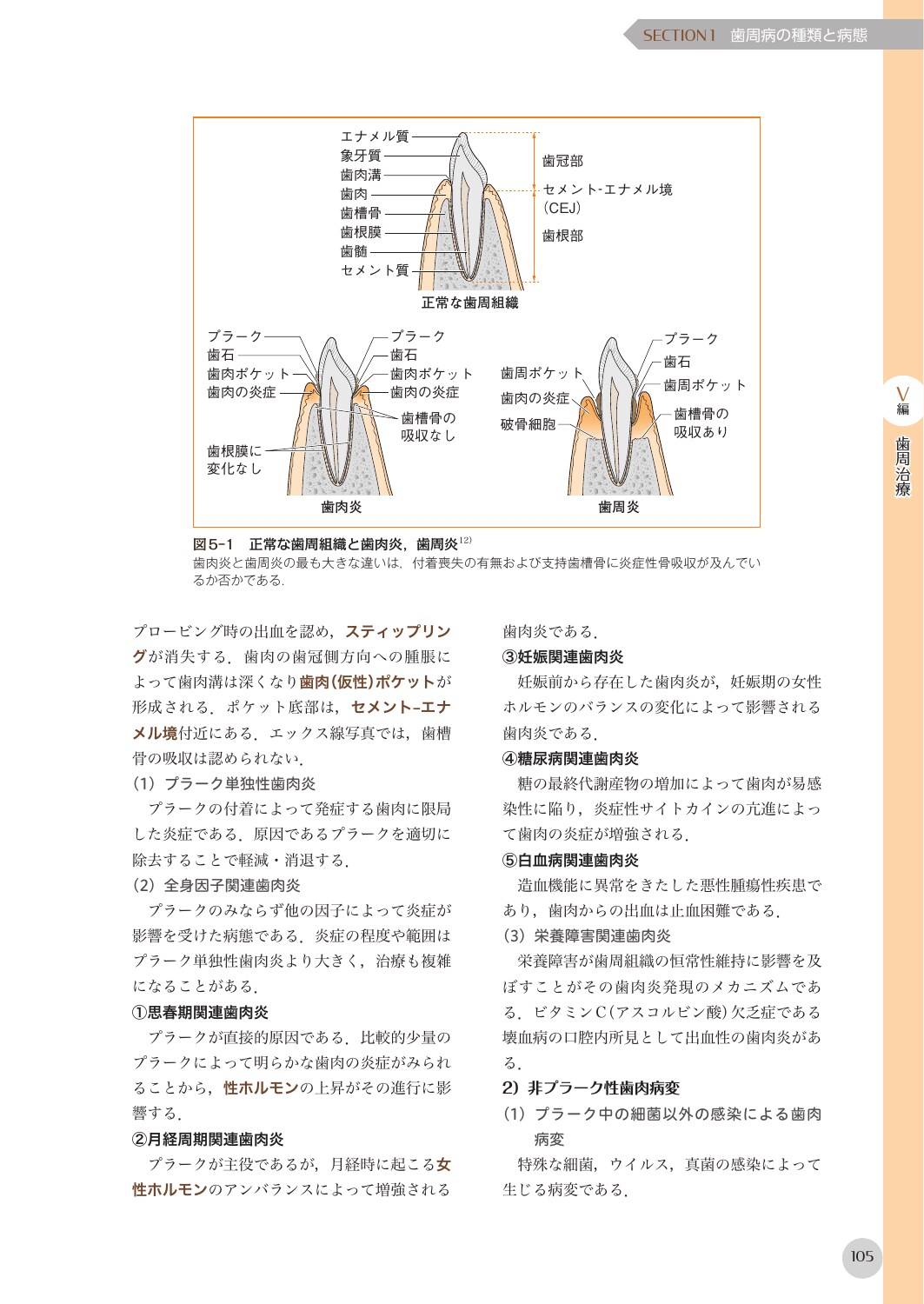 サムネイル画像4