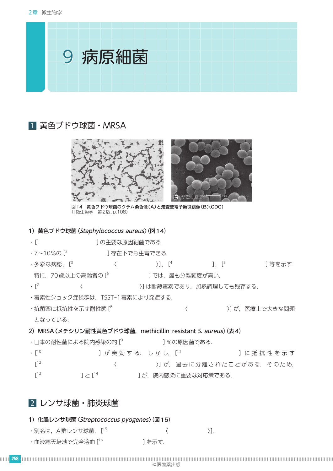 サムネイル画像5