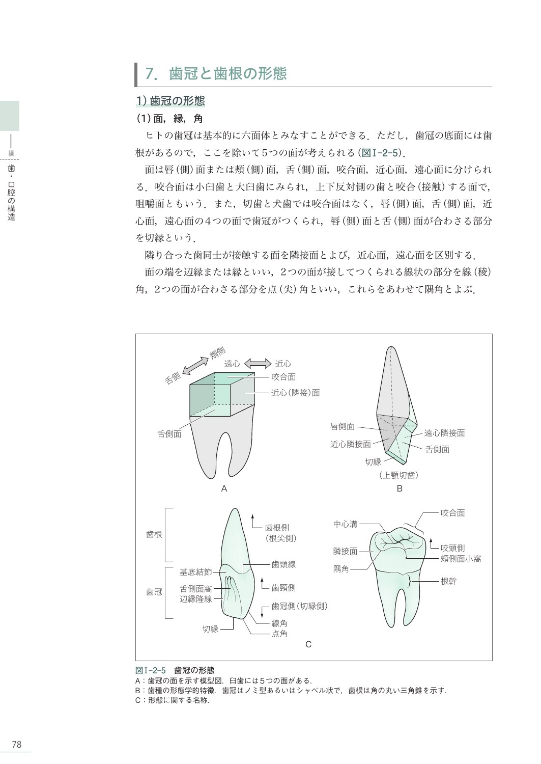 サムネイル画像2