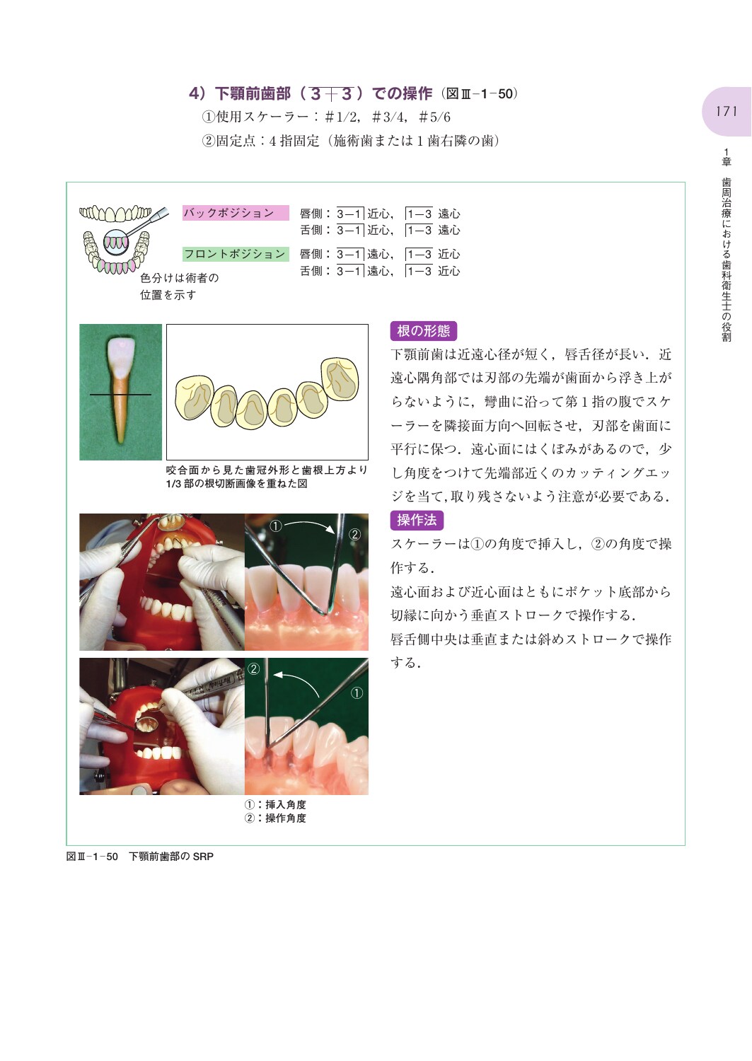 サムネイル画像5