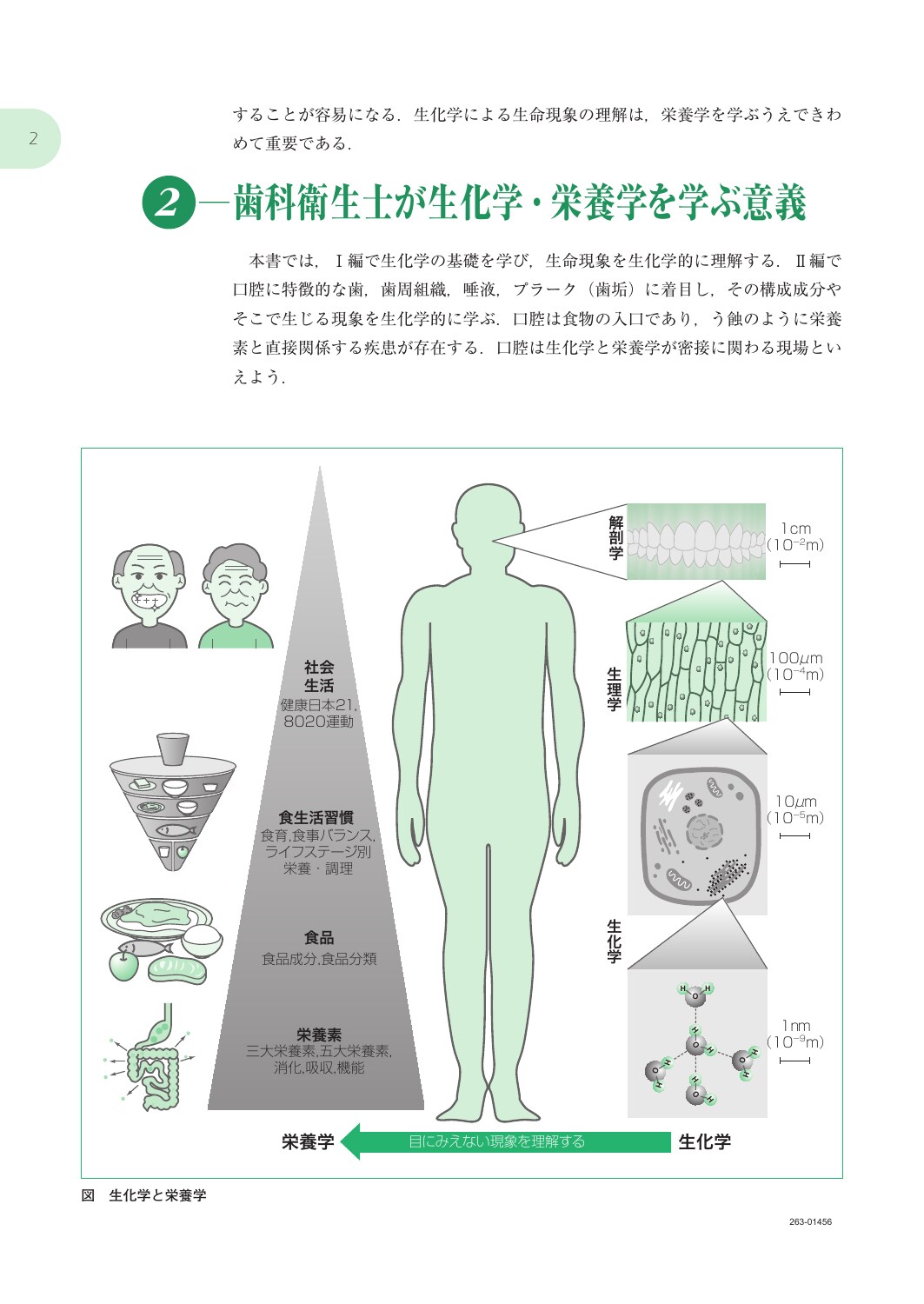 サムネイル画像1