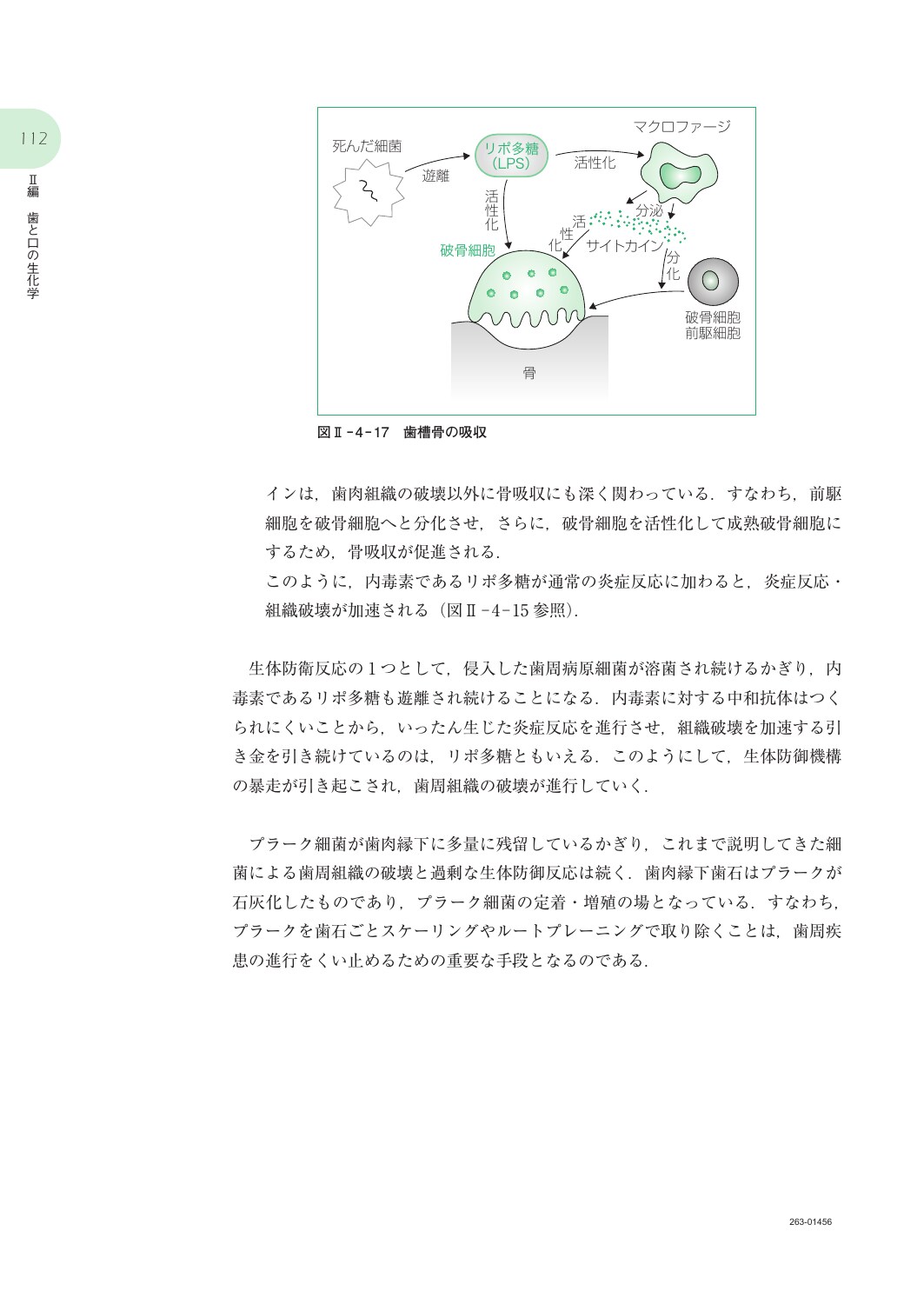 サムネイル画像4