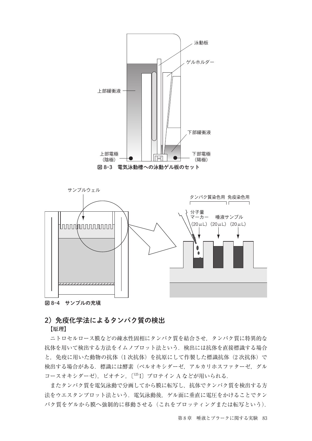 サムネイル画像5
