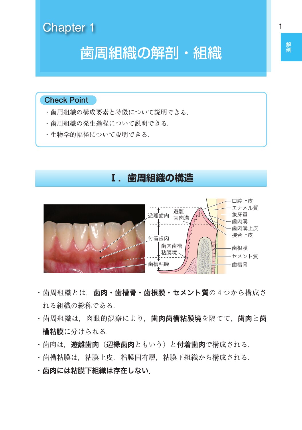 サムネイル画像2