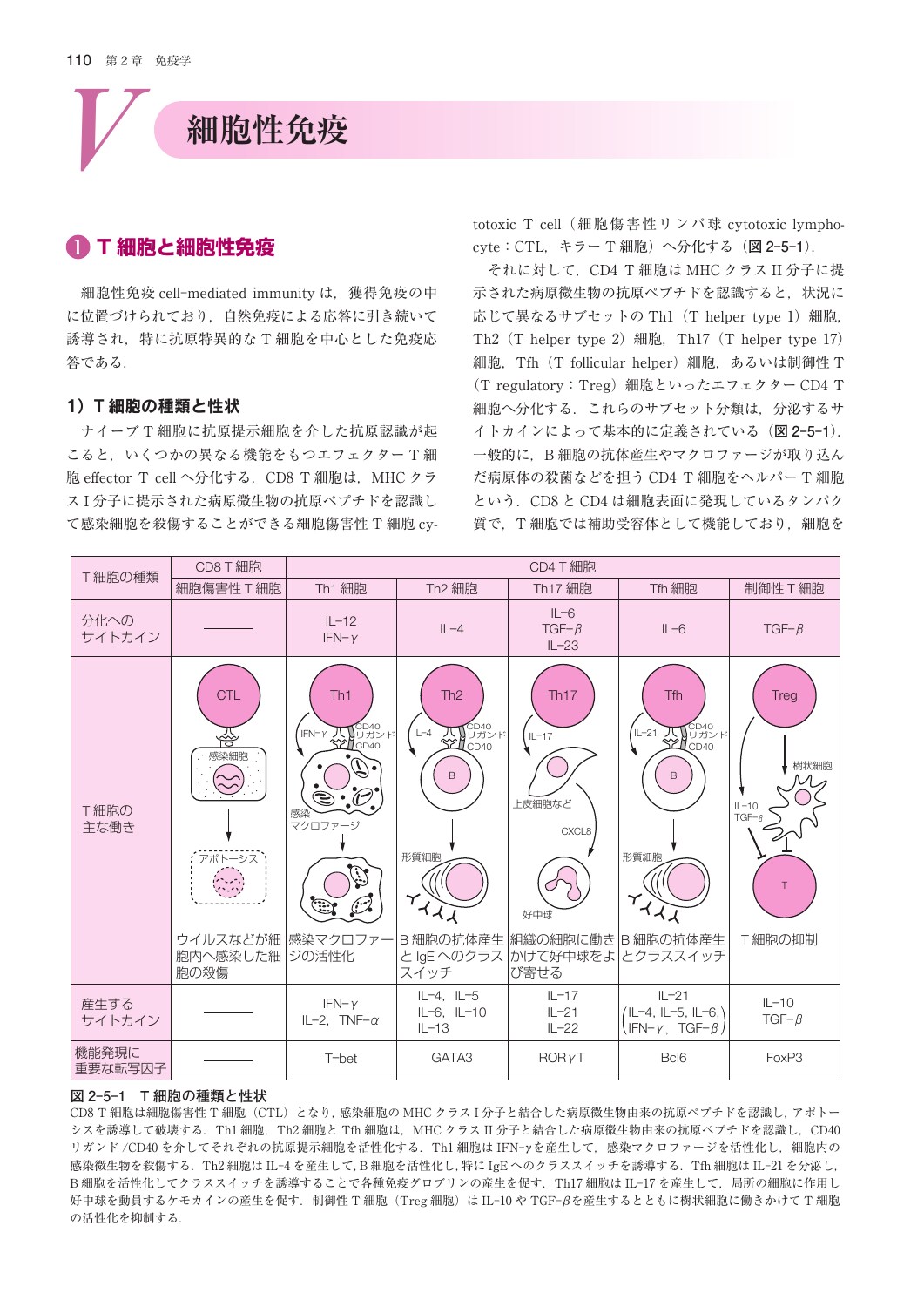 サムネイル画像2