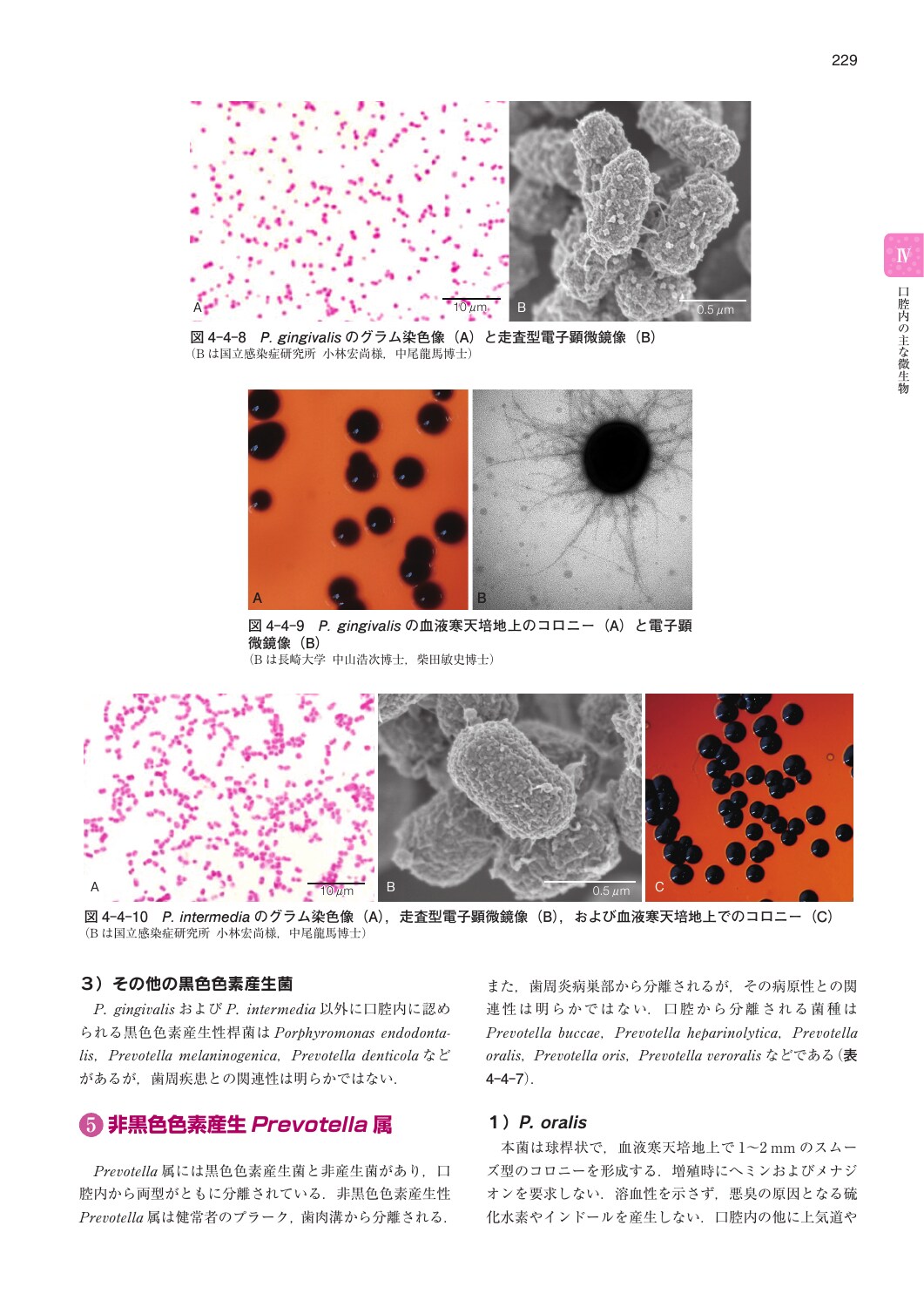 サムネイル画像5