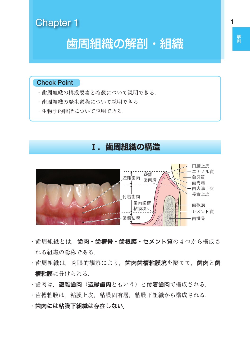サムネイル画像2