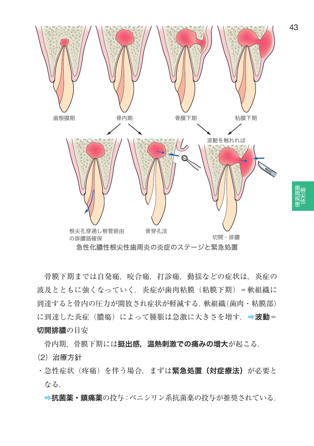 サムネイル画像3
