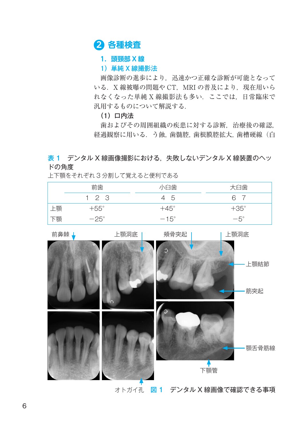 サムネイル画像2
