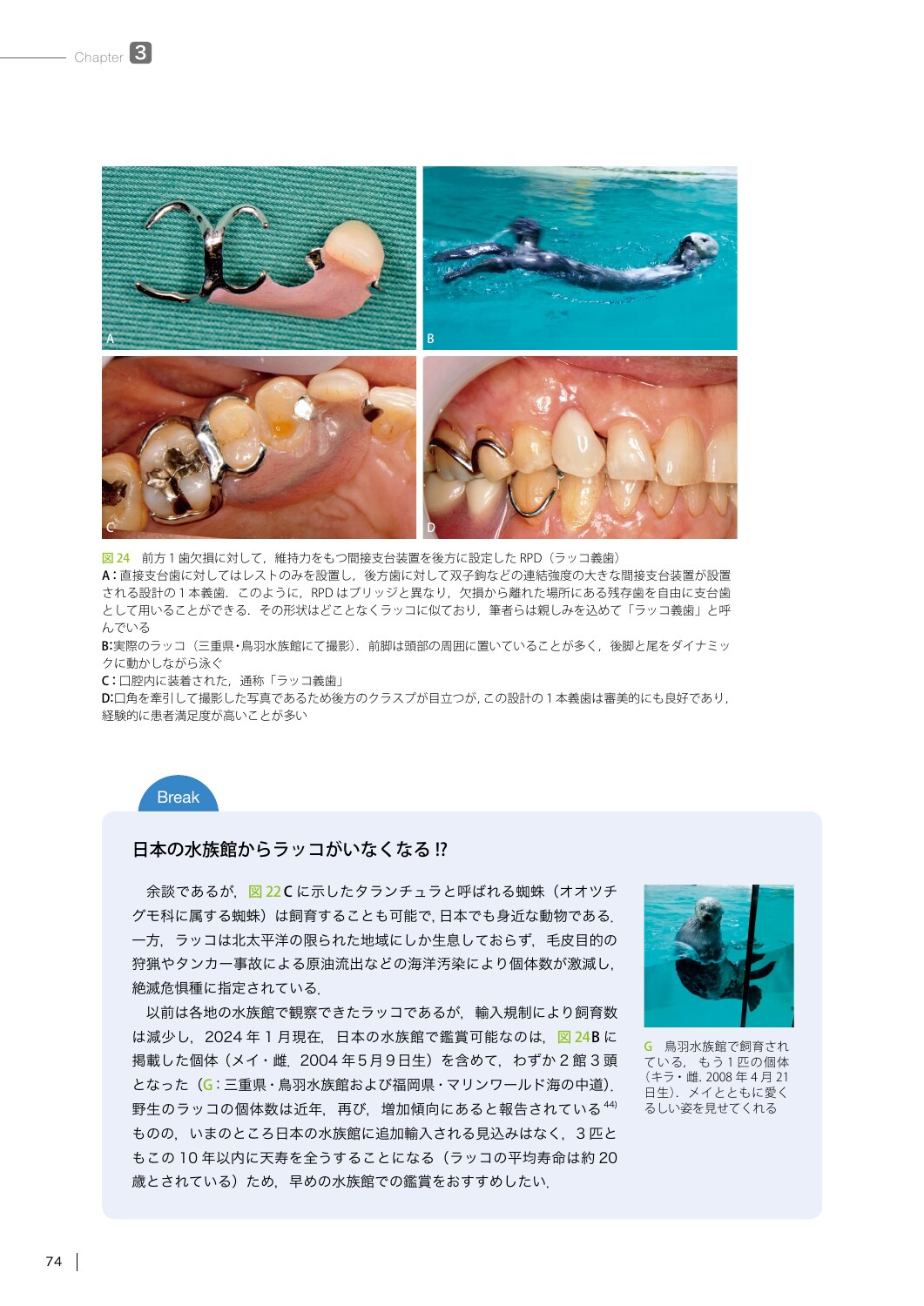 サムネイル画像5