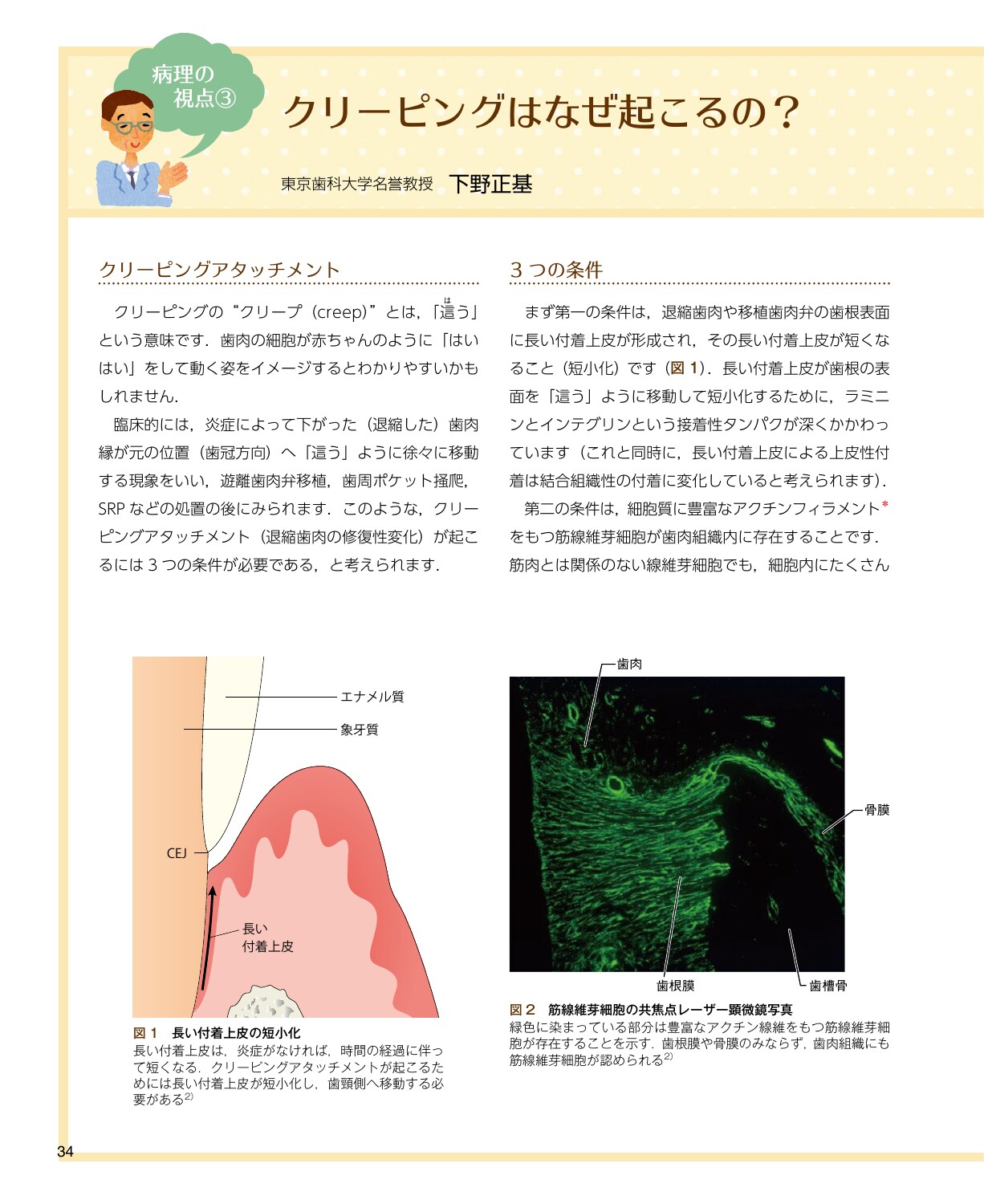 サムネイル画像4