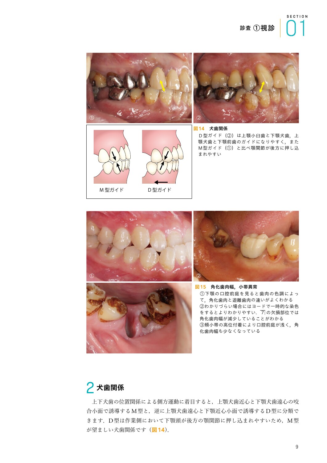 サムネイル画像1