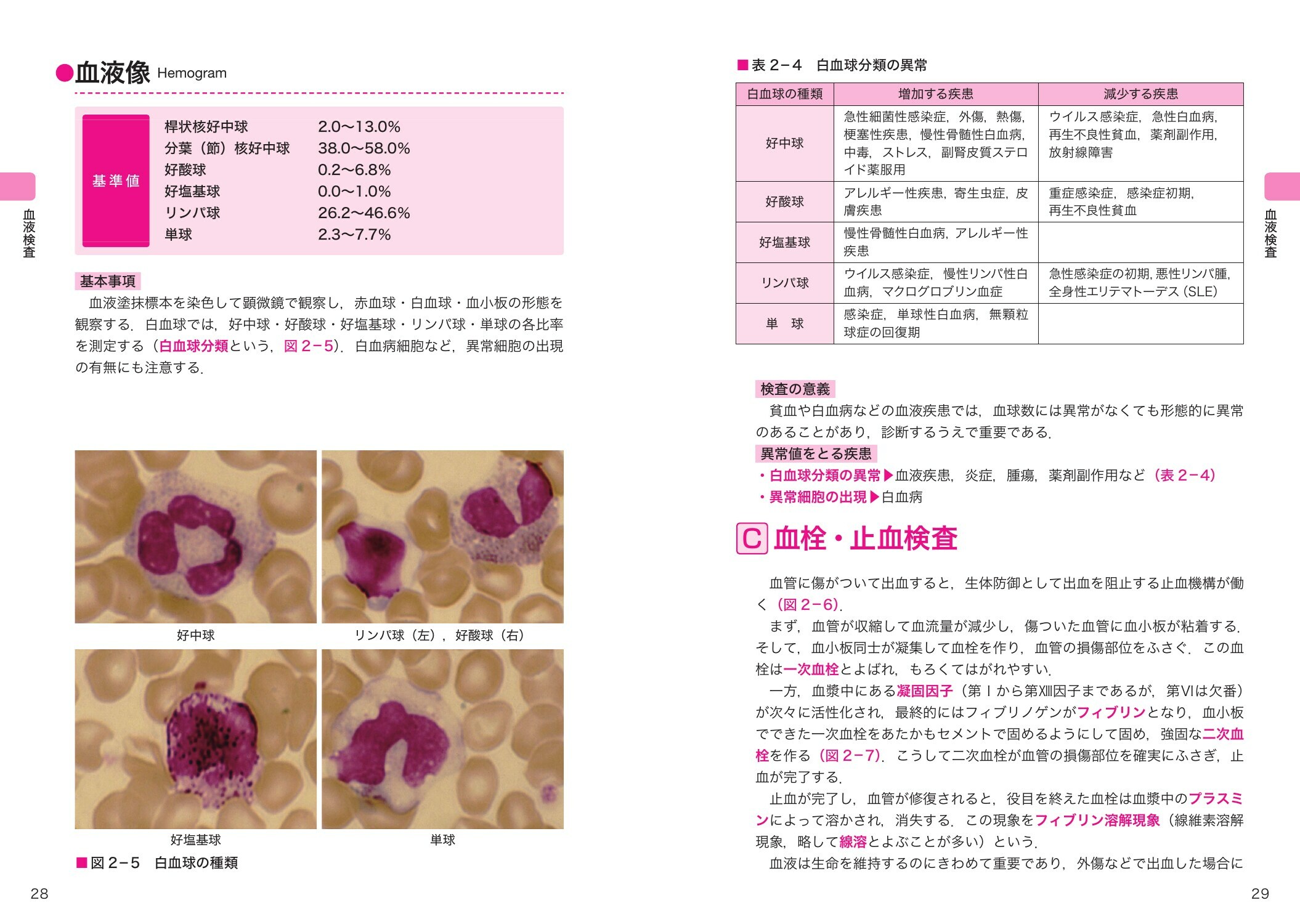 サムネイル画像3