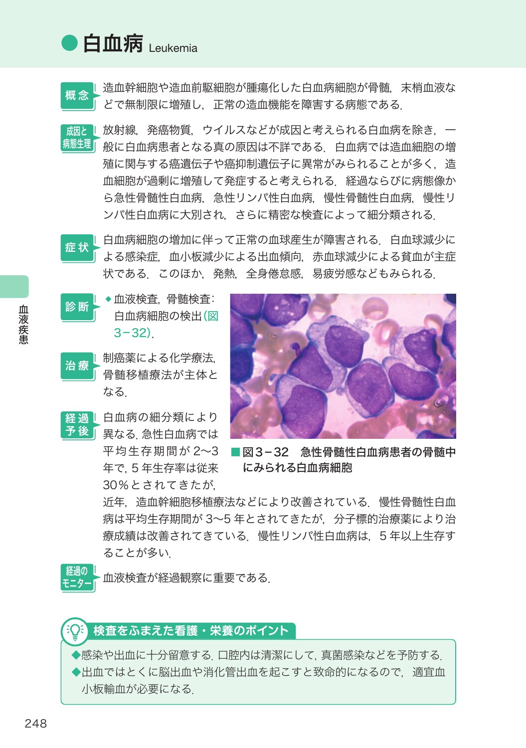 サムネイル画像5