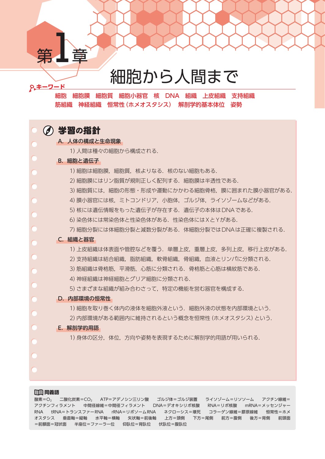 サムネイル画像2