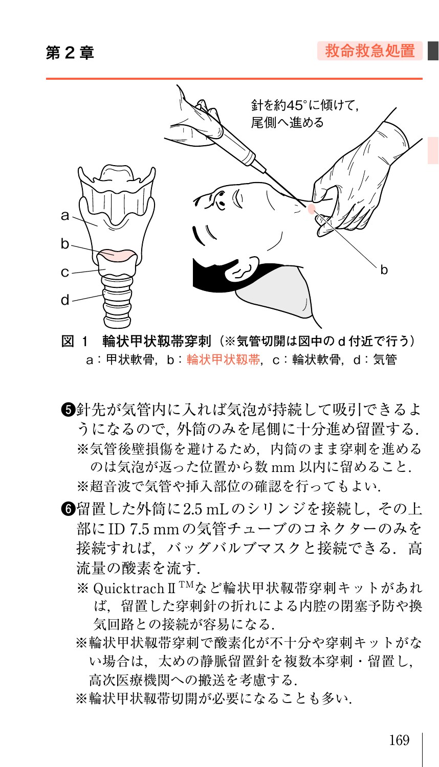 サムネイル画像5