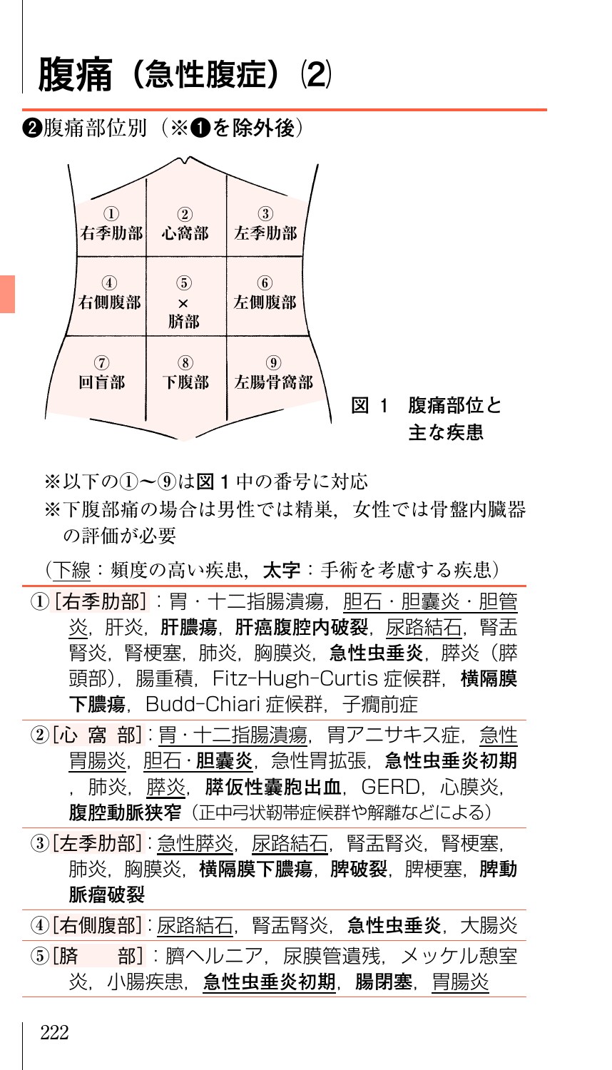 サムネイル画像5