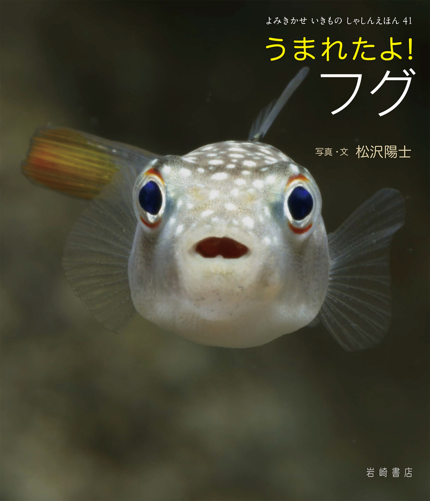 メイン画像