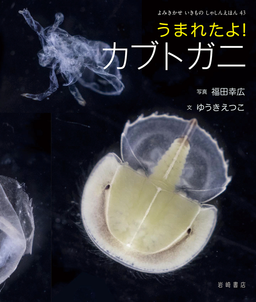 メイン画像