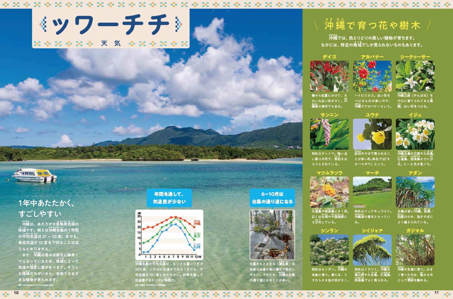 サムネイル画像1