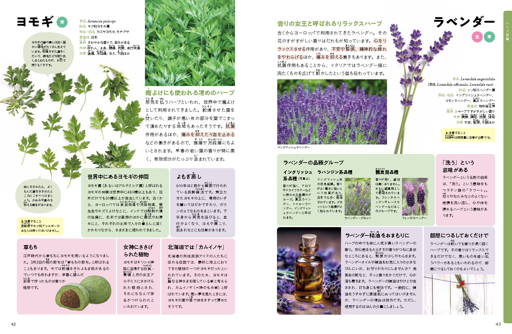 サムネイル画像2