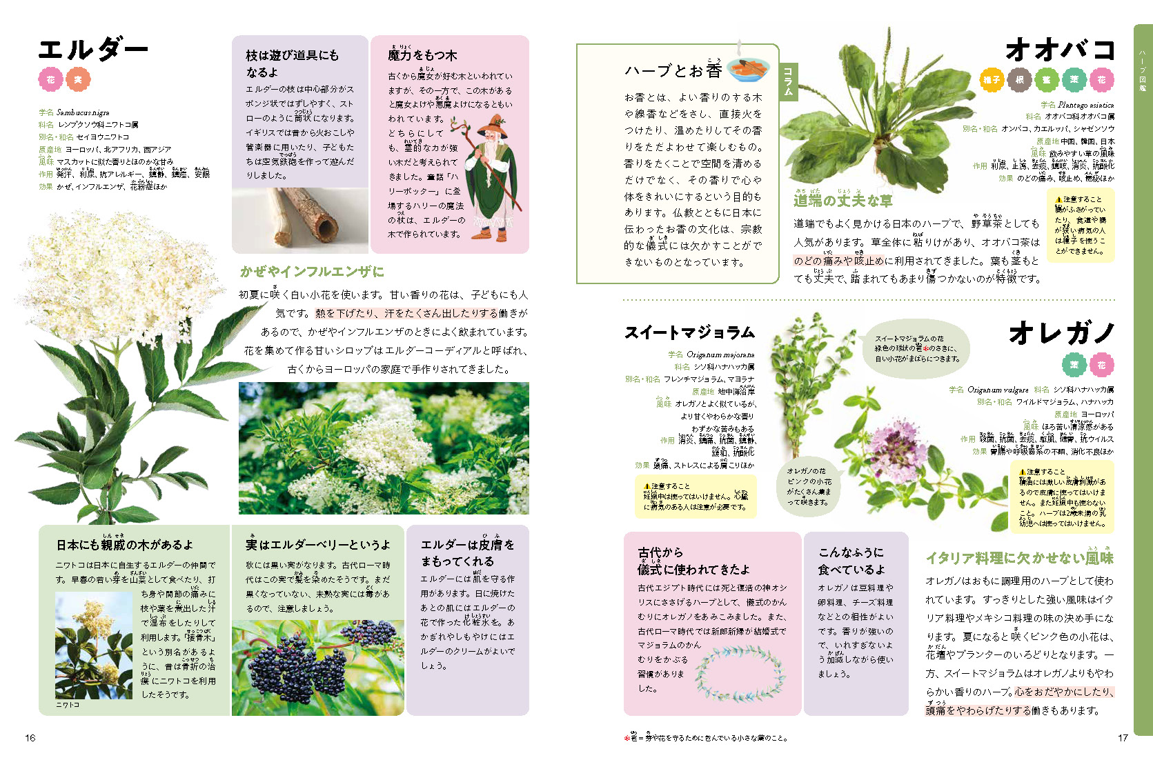 サムネイル画像3