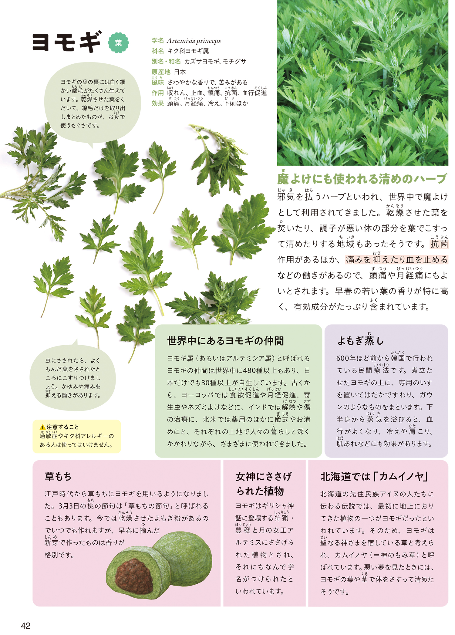 サムネイル画像5